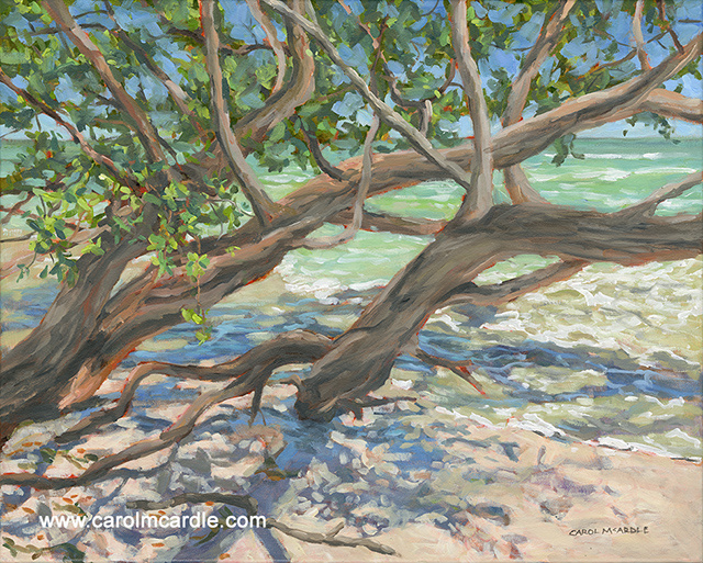 Beach Boughs 16"x20"